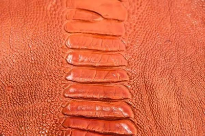 UROK手工鞋 鴕鳥皮珍稀皮革知多少？